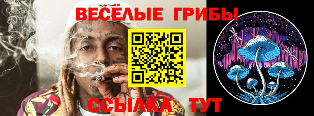 Конаково  Галлюциногенные грибы Psilocybine cubensis  Псилоцибиновые грибы Cubensis  наркота  Вход с VPN 